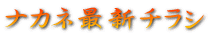 ナカネ最新チラシ